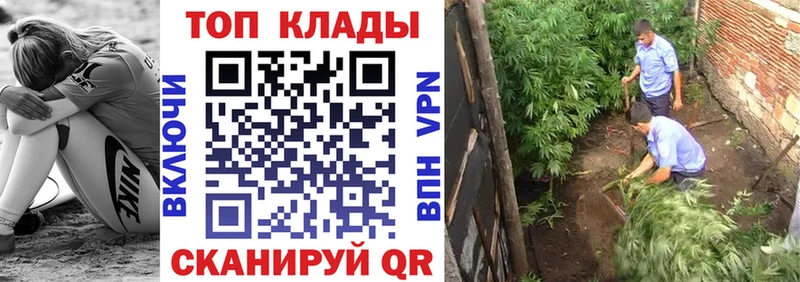 Где найти наркотики Жуковка Конопля  АМФ  Псилоцибиновые грибы  ГАШ 