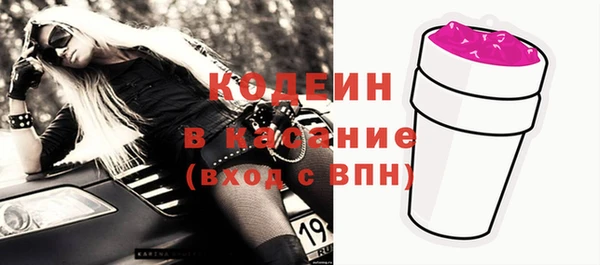 молекула духа Вяземский