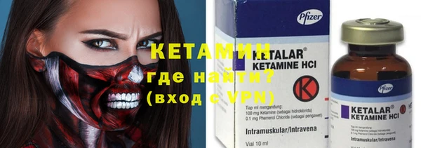 молекула духа Вяземский