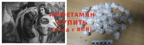 мдпв Горно-Алтайск