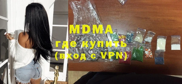 молекула духа Вяземский
