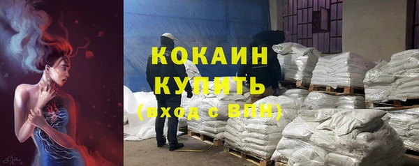 мдпв Горно-Алтайск