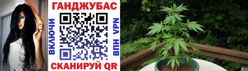 Бошки Шишки ГИДРОПОН  закладка  Жуковка 